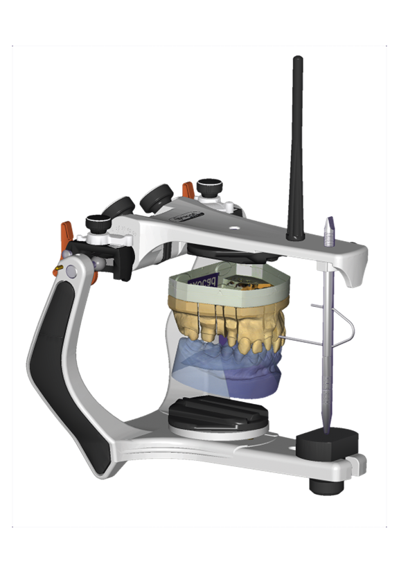 Örök licence - Virtuális artikulátor Modul