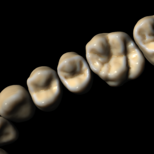 Örök licence - Fogkönyvtár modul