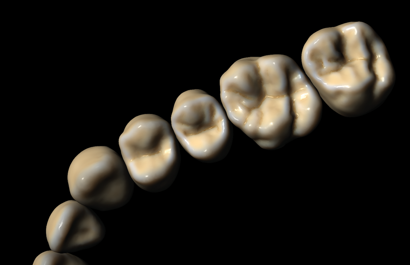 Örök licence - Fogkönyvtár modul