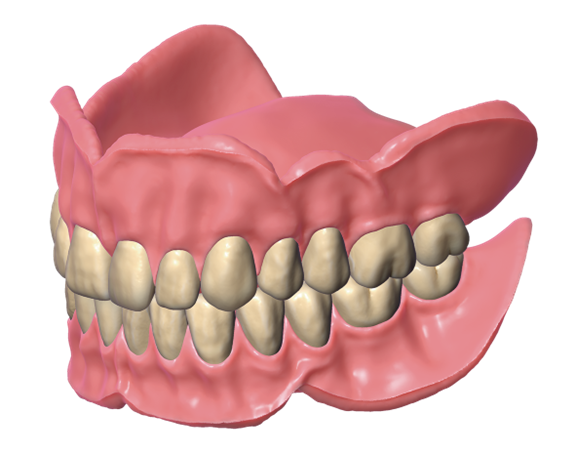 Örök licence - Teljes fogsor Modul