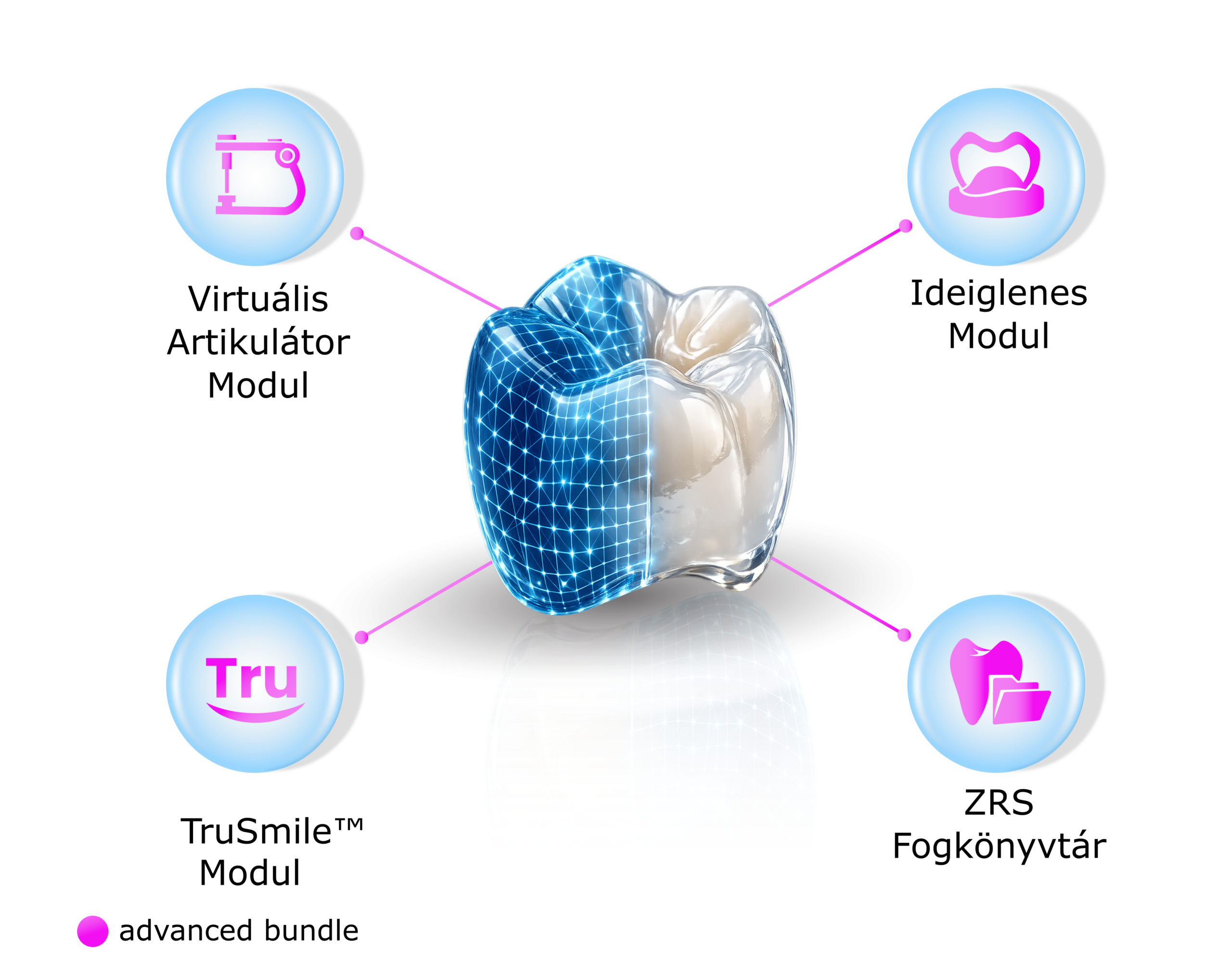 Örök licenc - Advanced Bundle